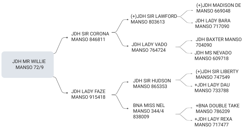 JDH MR WILLIE MANSO 72/9