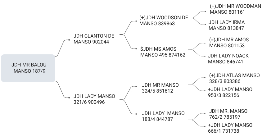 JDH MR BALOU MANSO 187/9